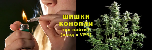 дурь Арсеньев
