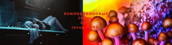 тгк Аркадак