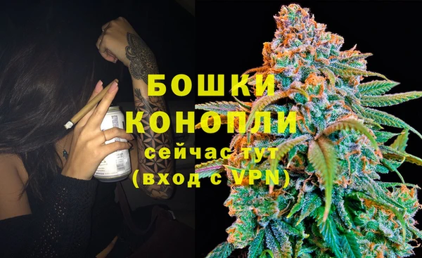 дурь Арсеньев